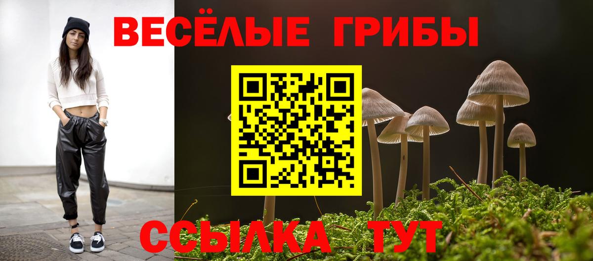 Галлюциногенные грибы ЛСД  Вход с VPN  Галлюциногенные грибы мицелий  Каменка 